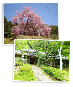 常照皇寺・摘草料理「美山荘」京都美山の料理旅館